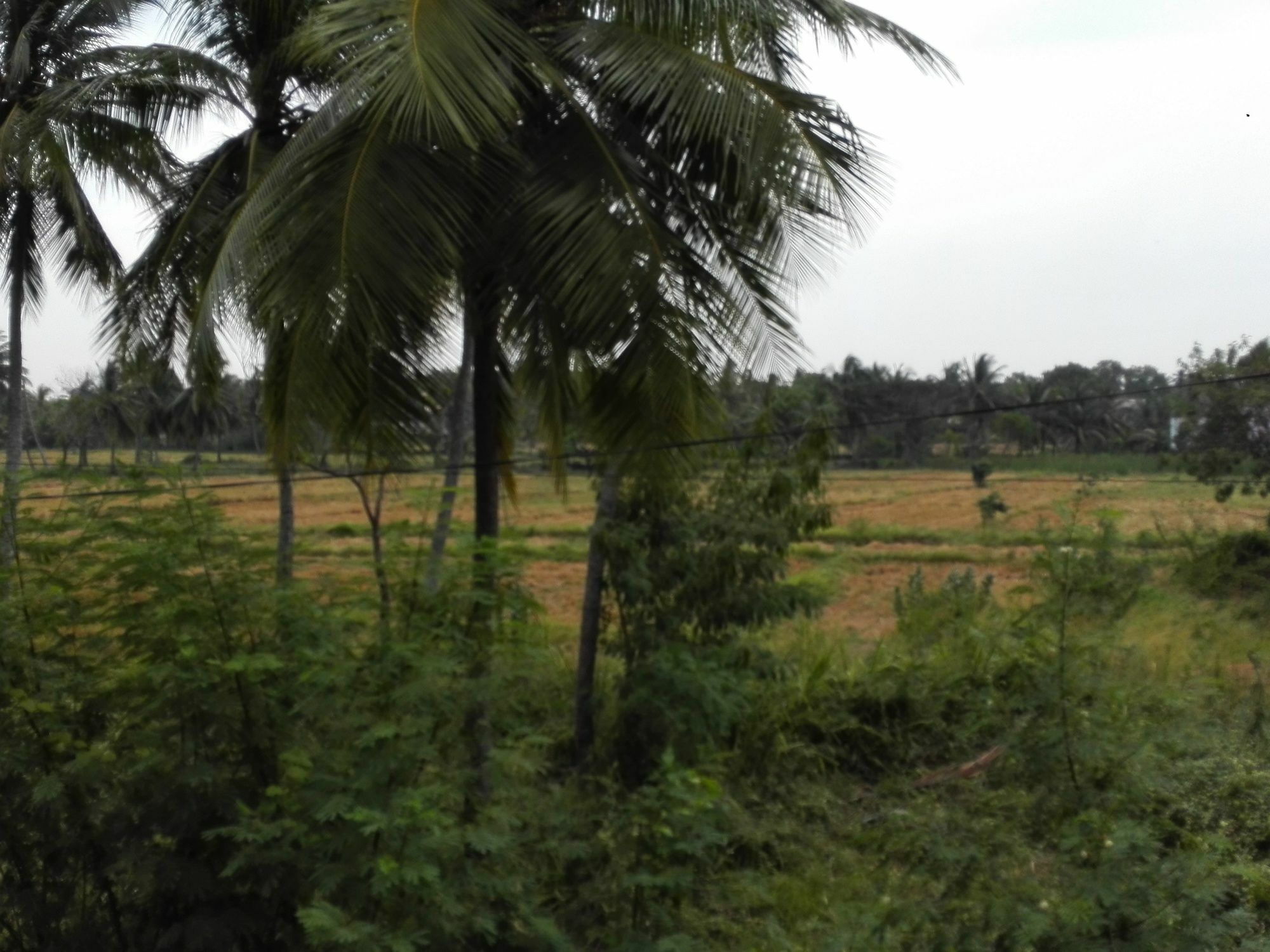 Salubrious Resort Anuradhapura Kültér fotó