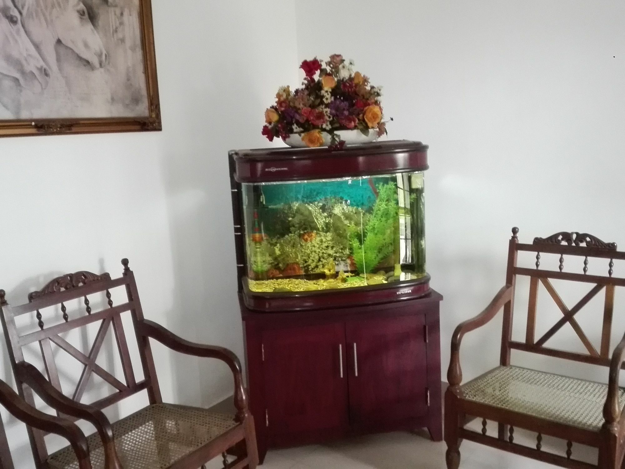 Salubrious Resort Anuradhapura Kültér fotó